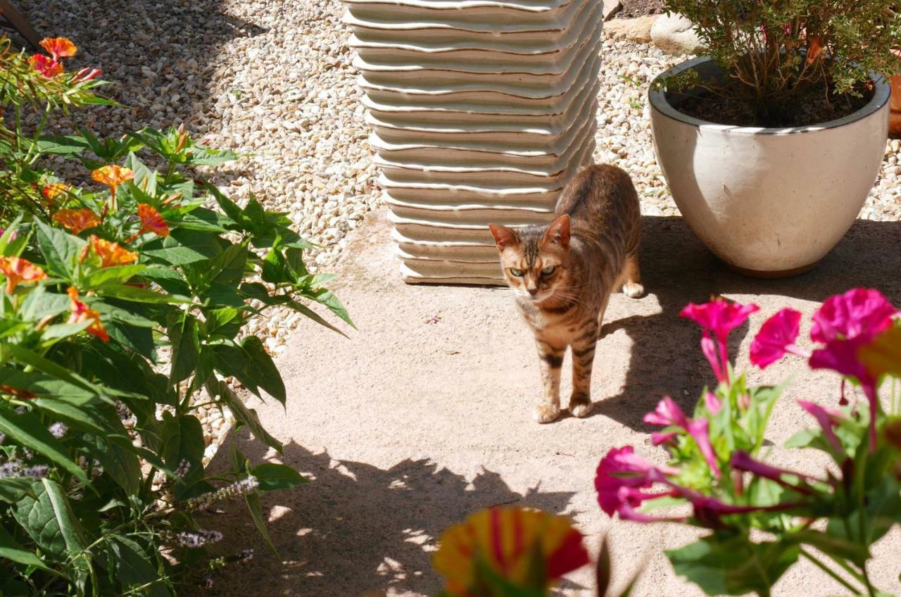 L'Arbre D'Ange Bed & Breakfast Montmorillon Luaran gambar